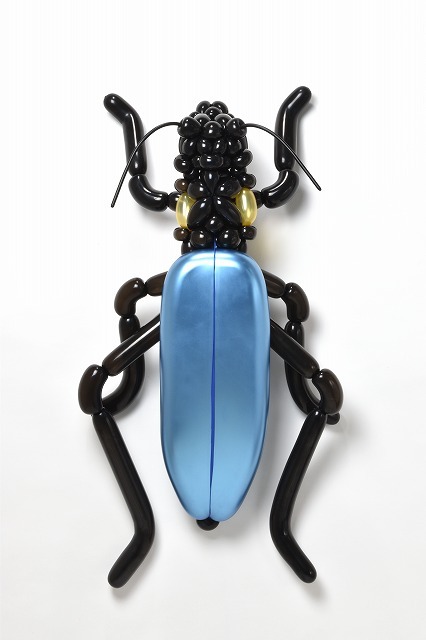 アオジョウカイSoldier beetle2021.8.5