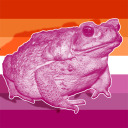 toadlesbians avatar