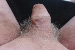 my tiny hairy cock