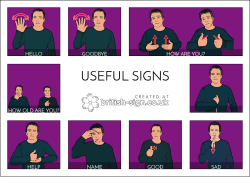 coille-dithean:  More hearing people should learn some sign language so here are some actually useful signs for us hearing people to learn.  