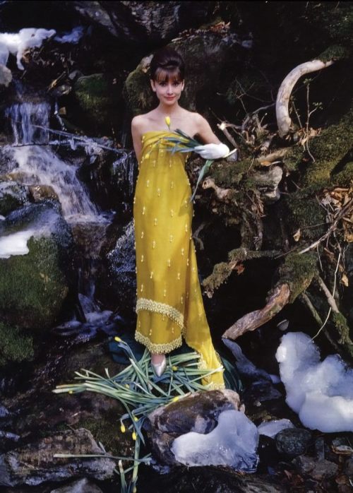 thefashionofaudrey:The actress Audrey Hepburn photographed by Howell Conant for a fashion editorial 