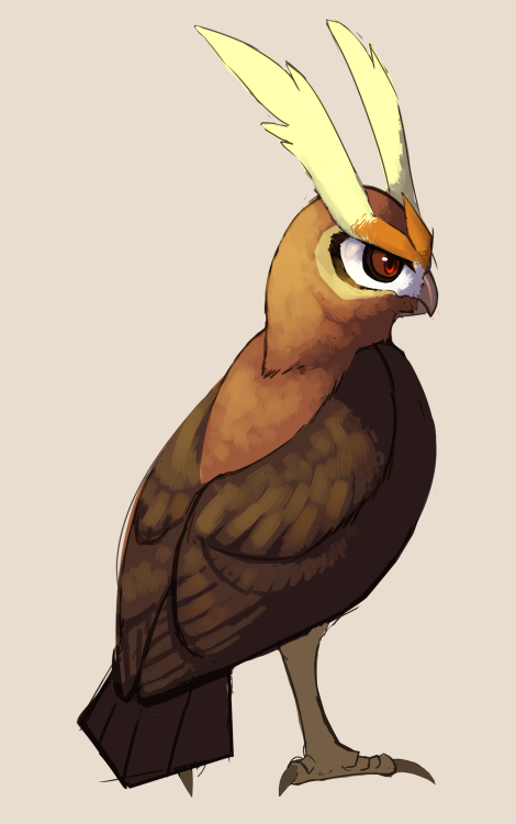 My hoothoot finally evolved in our pokemon campaign! HOOOOOOOTAlso skarmory copying.