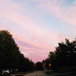 cantaloupemilk:  sunset palette