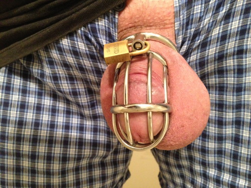 anonmouse93:  Back in my Mature Metal Jailbird. After my sojourn in the two tiny Chinese cock cages I’m honestly grateful to be allowed back into the 2.25” jailbird. 