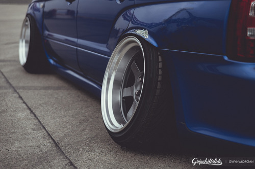timetochaing:    ♡ FORESTER ♡