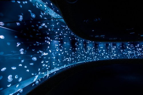 Jellyfish tunnel in Ikebukuro Tokyo (photos from)