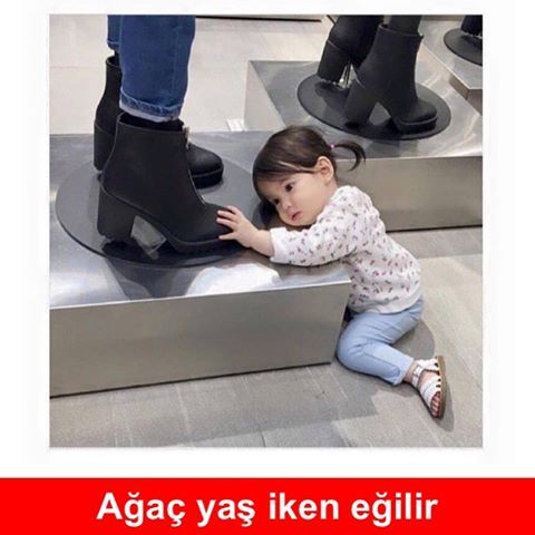 Ağaç yaş iken eğilir