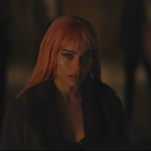 𝐢𝐜𝐨𝐧𝐬 𝐭𝐡𝐞 𝐛𝐚𝐭𝐦𝐚𝐧 - Selina Kyle