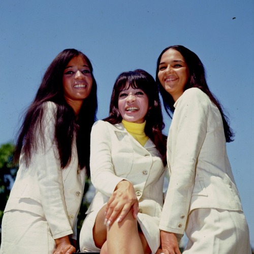 twixnmix: The Ronettes photographed by Bill Gillohm for Ebony magazine, 1966.