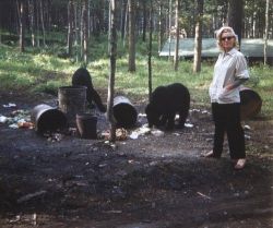 thepriceismeg:  If your default mental photo of Marilyn Monroe is an over-saturated glamour shot of her with her mouth open, please take a moment to replace it with this one of her giving zero f***s about some bears eating garbage. 