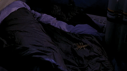Star Trek: Enterprise 1x04 (2001)