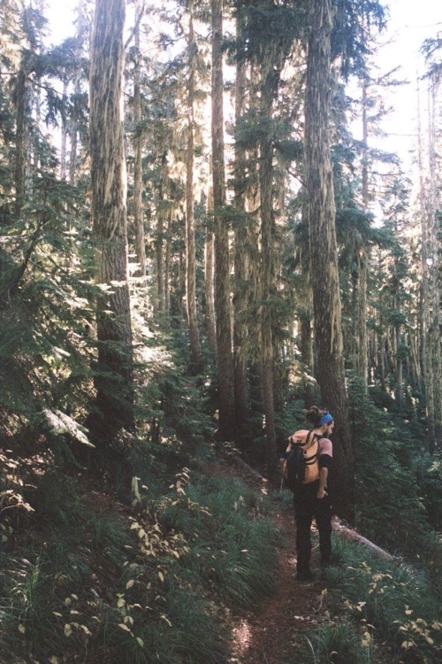 chernobyl-tea-party:  eartheld:  mostly nature  Mostly nature