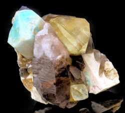 hematitehearts:  Topaz &amp; Amazonite on Smoky QuartzLocality:  Klein Spitzkopje granite stock, Spitzkopje Area, Karibib, Erongo Region, Namibia.  Size:    11.5 cm by 13.8 cm by 8.4 cm  