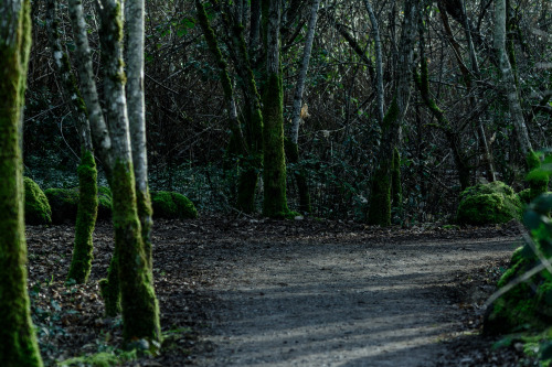 darkcoastphotography:Familiar TerritoryButtertubs Marsh, Vancouver Island, British Columbiatumblr | 