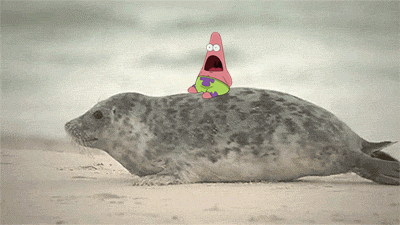 ada-rohclem:  “One single face for any moment” by Patrick Star.  I don’t even remember which episode he made this face in.