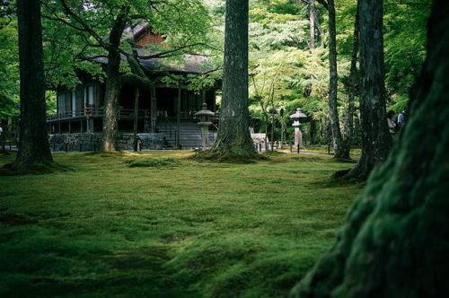 Sanzenin Temple (三千院) in Ohara (大原) Kyoto (京都) Japan by TOTORORO.RORO on Flickr.