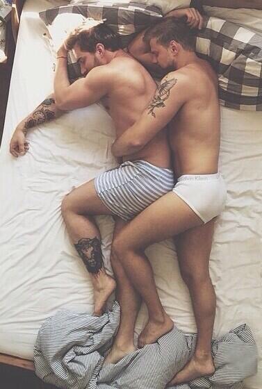 THE HOT GAYS