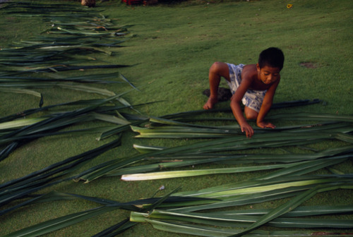 unrar:A young boy spreads pandanus palm fronds out to dry. The leaves will be woven into mats when d