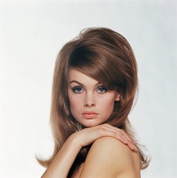 viola-goes-to-hollywood:   Jean Shrimpton,