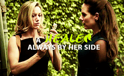 pagets:  It is our destiny to fight together for the good of the Fae. To unite will