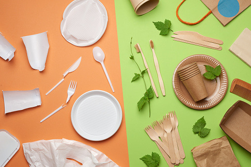 Eco-friendly Alternative to Plastics to Drive Global Biodegradable Tableware Market