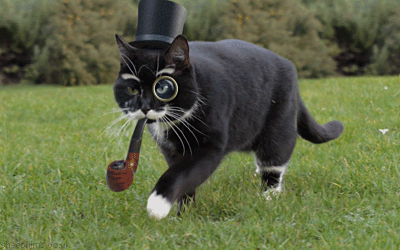 steampunkxlove:  Bein’ a dapper ass cat ‘scuse me.