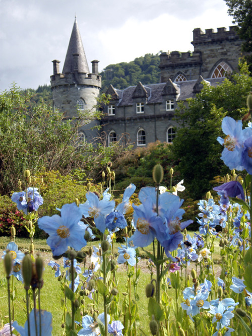 nordicsublime:Inveraray castle - www.scotlandsgardens.org