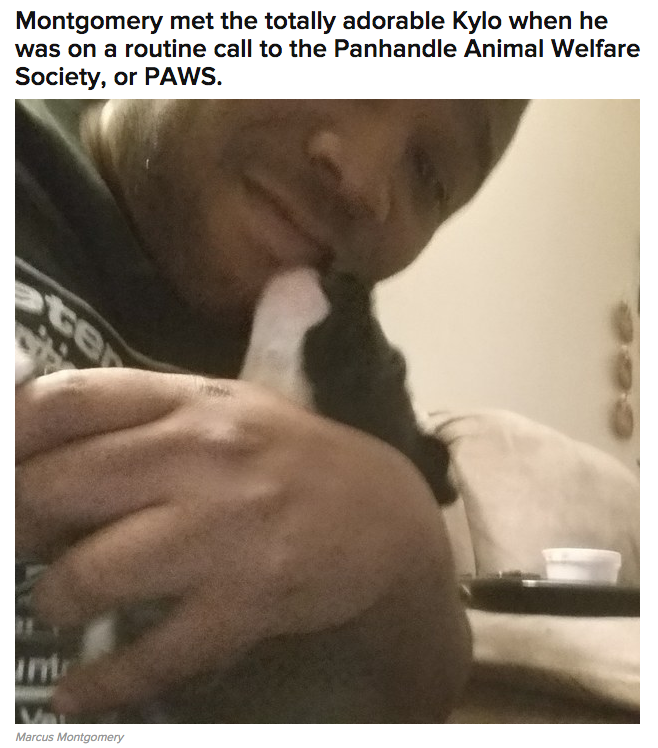 elphabaforpresidentofgallifrey:  buzzfeed:  This Cop Was Called To An Animal Shelter