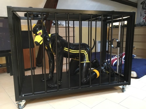 sonypup:  Cage afternoon for Sonypup !!! 