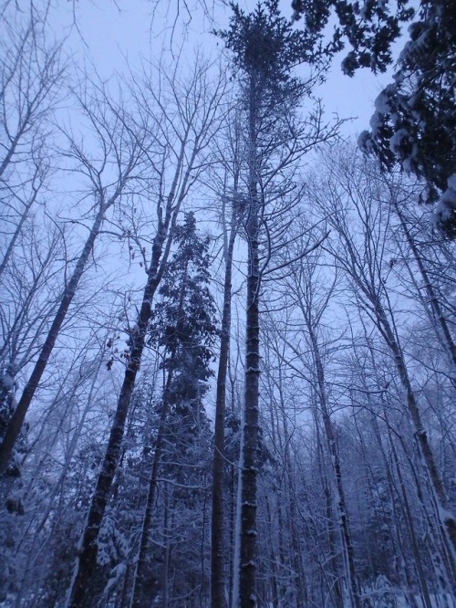 Some pictures from just before sunrise this morning. (That’s a frozen lake in the second and fourth 