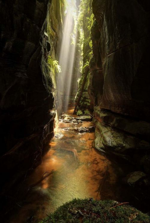 Claustral canyon, Blue Mountains / Australia (by Albert Chetcuti).