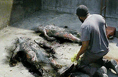 thewalkingdead-latinoamerica:  &ldquo;There is no hope for any of us&rdquo;