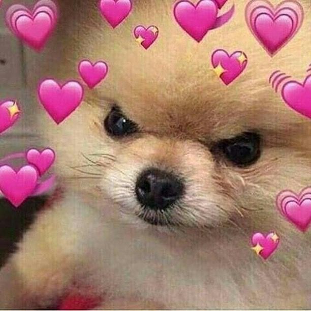 softwaring: mood