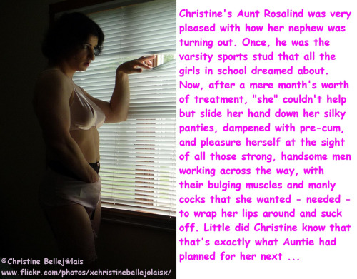 lacysissy: Here is the “Story of C” as posted by Christine Bellejolais. I created the ti