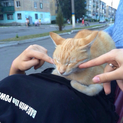 superkursunaskr - BABABABABA