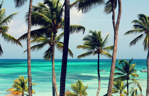 welcome to my tumblr ♥ ∞