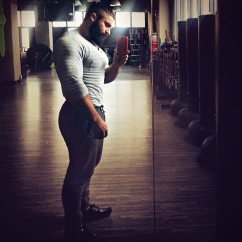 hot muscle guys collection