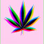 life-with-marijuana