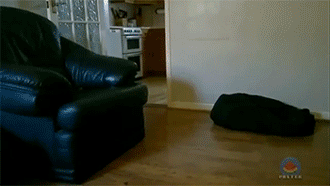 sizvideos:  Video   Funny😂
