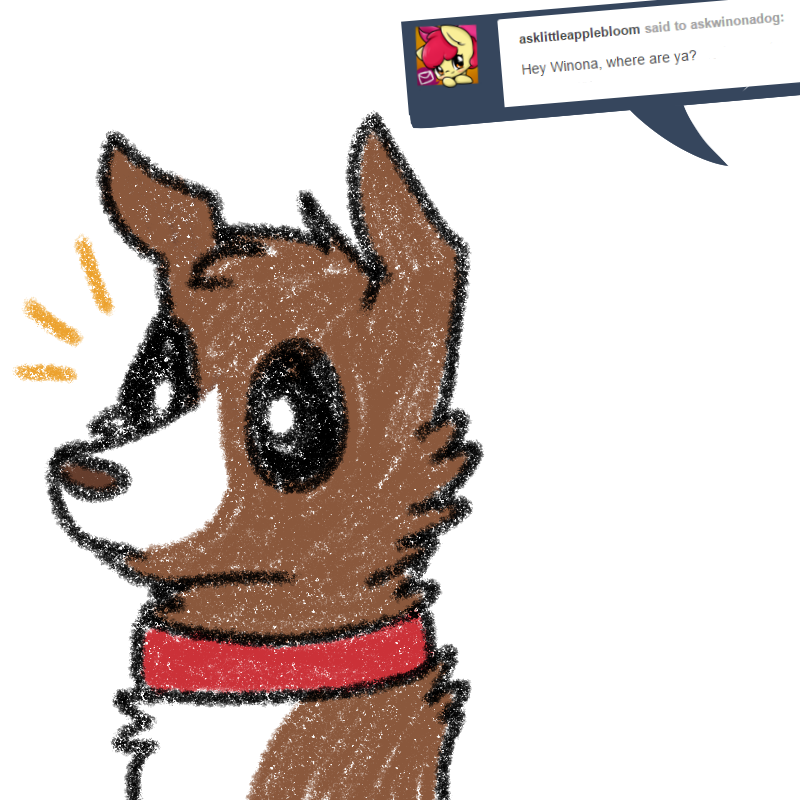 askwinonadog:ft. @asklittleapplebloomx3!