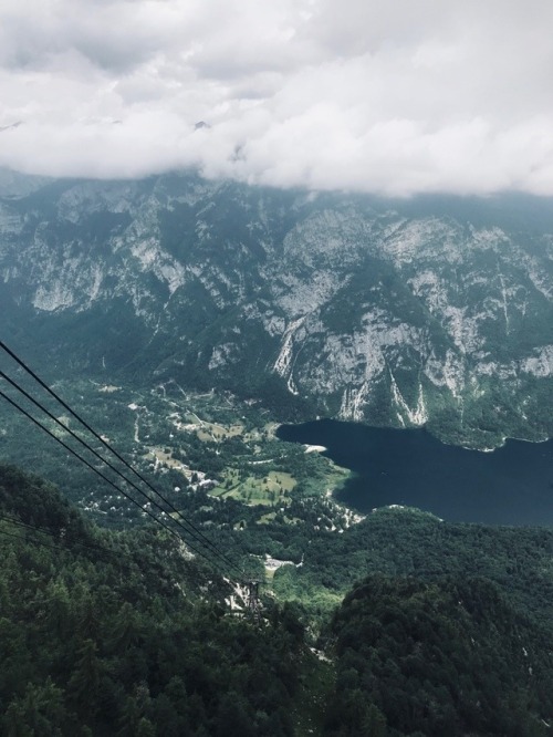 trustre:Bohinjsko jezero, Slovenia | more