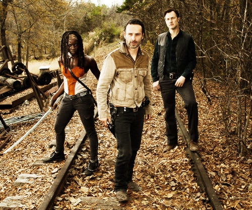 TWD; Season 3 promos featuring Andrew Lincoln, Danai Gurira, and David Morrissey.