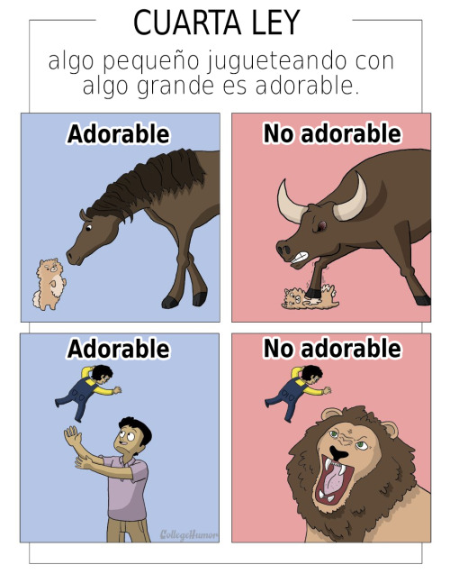 dulcealien:  tretente:  Las leyes de lo adorable  Jajaja las cucarachas nunca. NUNCA! 