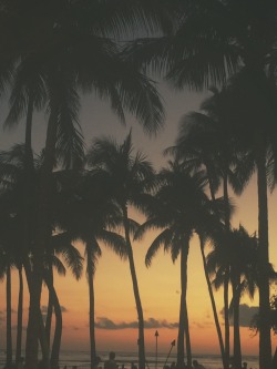 exrayed:Honolulu, Hawaii This is paradise.