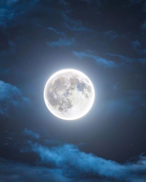 Full Hunter's Moon 2023 L Rami Ammoun
