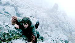arrgorns: It’s like in the great stories, Mr. Frodo. The ones that really mattered.