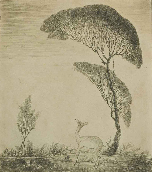 inland-delta:Abdur Rahman Chughtai(1894-1975), Untitled (Deer under tree)