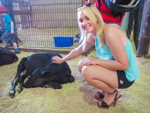 Baby Animals!!!! - Easter Show 2013 adult photos