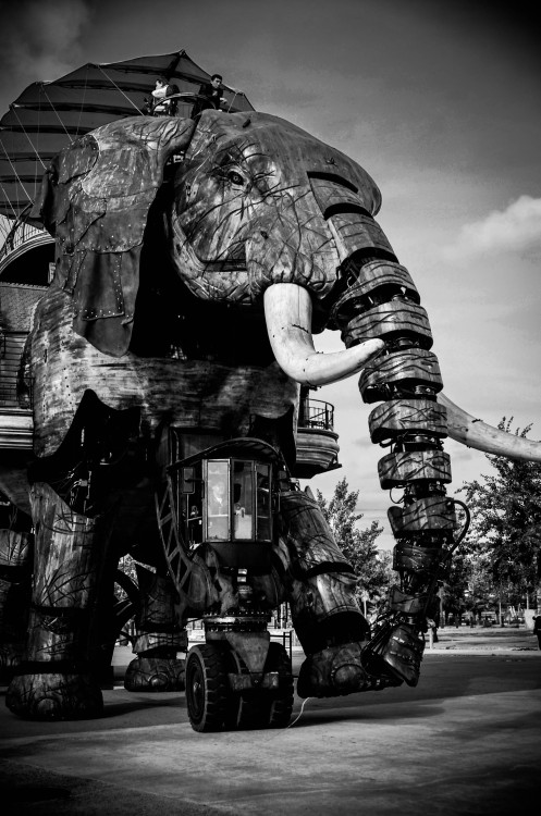 Île de Nantes - Le grand éléphant | Isle of Nantes - The Great Elephant Nantes, France