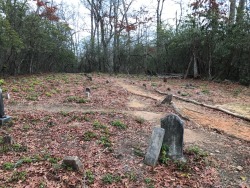 stumbled upon a 17th century graveyard while